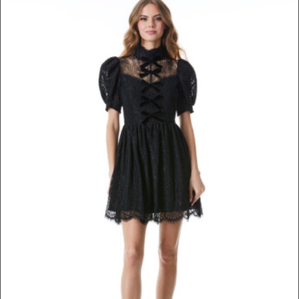 COPY - Alice and Olivia VERNITA LACE MINI DRESS sz 6